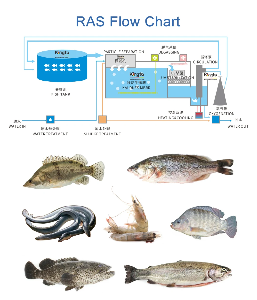 Kingto Automatic Drum Filter for Aquaculture Water & Landscape Pond Water Filtration