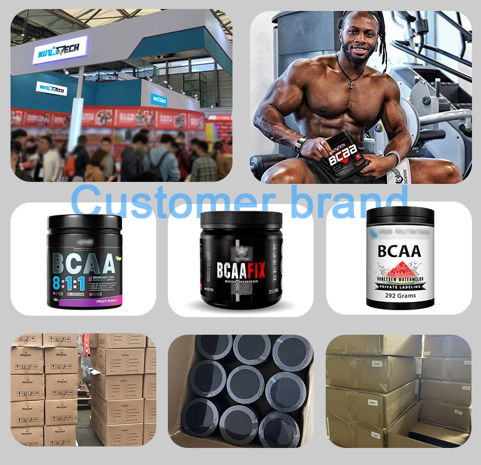 Wholesale Sports Nutrition Creatine, Bulk Pure Creatine Monohydrate