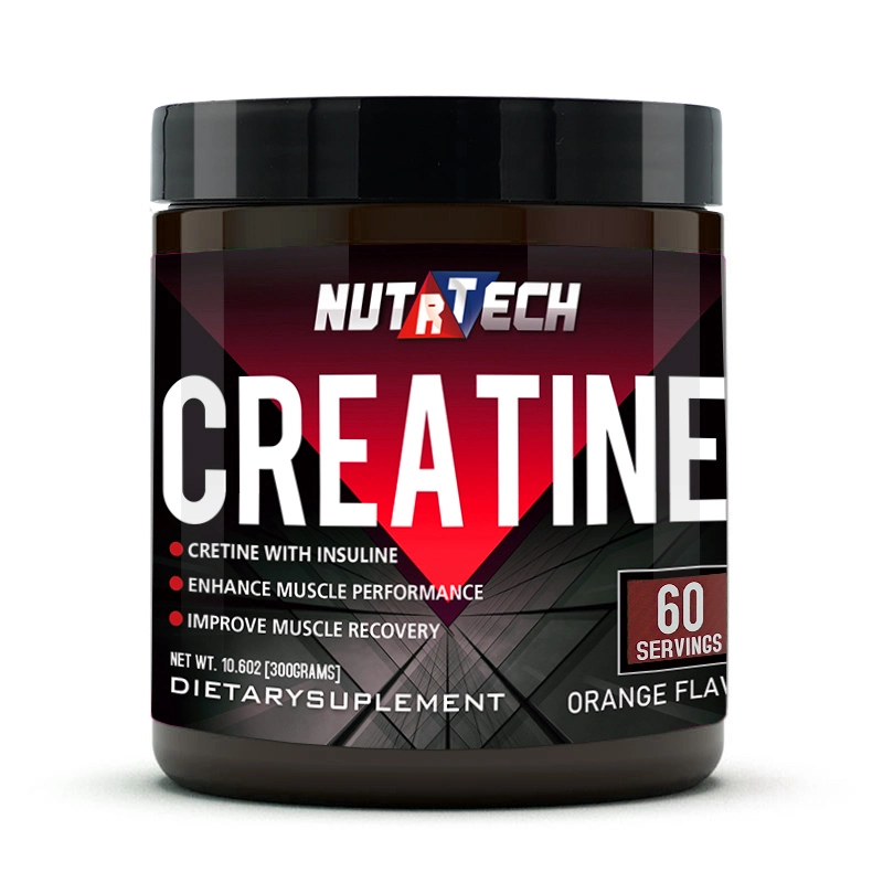 Wholesale Sports Nutrition Creatine, Bulk Pure Creatine Monohydrate