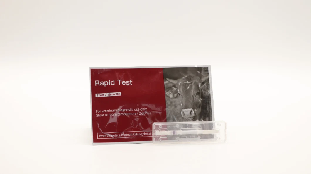 African Swine Fever Test Kit Pig Fever Antibody Rapid Test