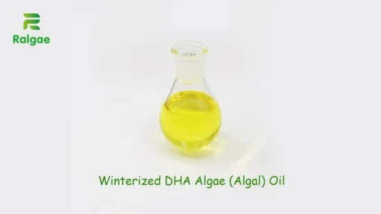 Huile d'algues algues DHA Vegan Omega 3 DHA pour supplément nutritionnel CAS6217-54-5