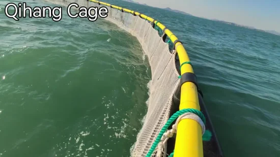 Cage flottante de filet de pisciculture d'aquaculture