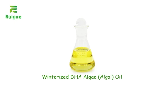Winterized Vegan Omega -3 Oil DHA Algal Oil 50% DHA No EPA pour la nutrition végétarienne Complément alimentaire Softgel CAS6217-54-5