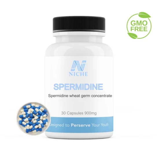 Casher Certified Wholesale Spermidine Wheat Germ CAS 334-50-9 Complément alimentaire de dédouanement gratuit en Europe