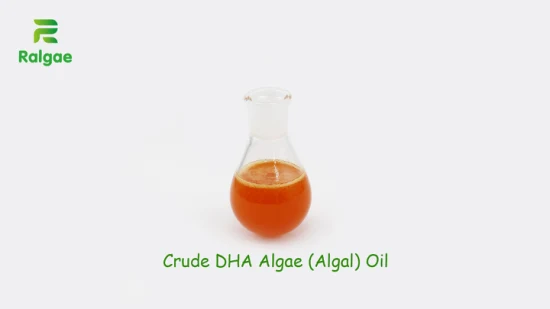 Acide docosahexaénoïque Vegan Omega 3 Oil Huile d'algues DHA Huile d'algues brute DHA Huile d'algues DHA pour la nutrition animale Supplément de nutrition équine pour chevaux Affiner l'huile végétale